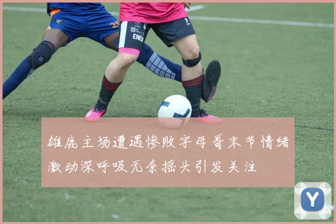 雄鹿主场遭遇惨败字母哥末节情绪激动深呼吸无奈摇头引发关注
